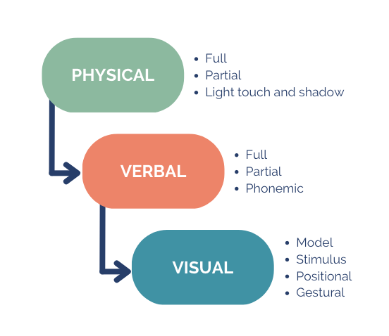 How Prompting and Fading Techniques Support Learning in ABA