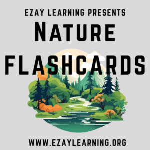 Nature Flash Cards – Real Pictures for Everyday Learning & Vocabulary Building