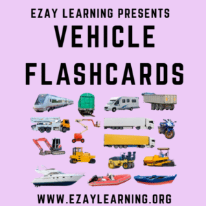 Sports Flash Cards – Real Pictures for Everyday Learning & Vocabulary Building
