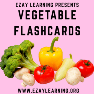 Vegetables Flash Cards – Real Pictures for Everyday Learning & Vocabulary Building
